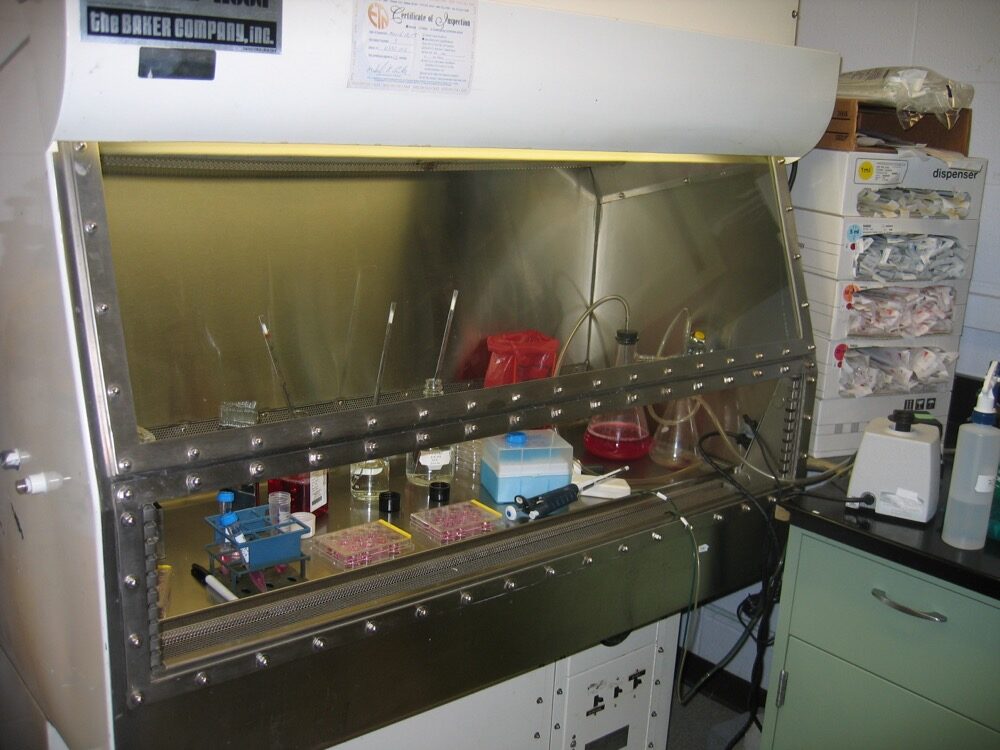 Laminar Air Flow (LAF) Bench